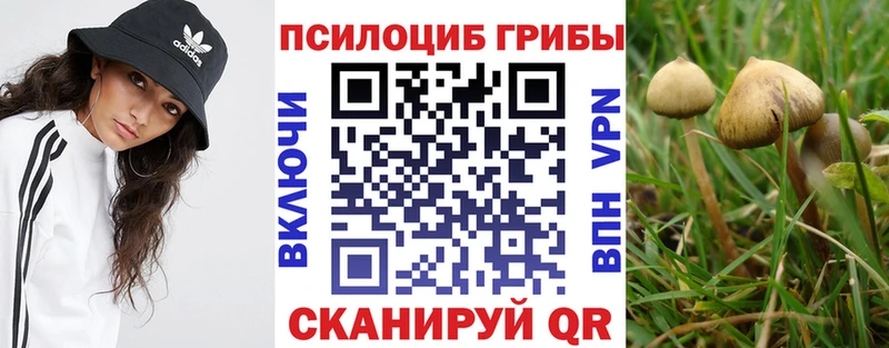 Галлюциногенные грибы мицелий  Вилючинск 